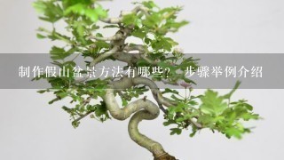 制作假山盆景方法有哪些？ 步骤举例介绍