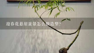 迎春花悬崖盆景怎么做造型？