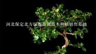 河北保定北方绿源苗圃苗木种植销售基地