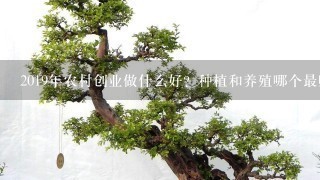 2019年农村创业做什么好？种植和养殖哪个最赚钱？