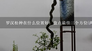 罗汉松种在什么位置好，盘点最佳3个方位(两仪/3才