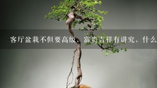 客厅盆栽不但要高级，富贵吉祥有讲究，什么样的盆栽寓意更好？