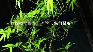 人参榕树盆景在什么季节修剪最好？