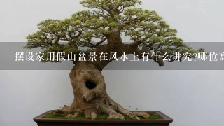 摆设家用假山盆景在风水上有什么讲究?哪位高手愿意指导1下啊,谢谢!