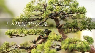 月入2万的10个小生意