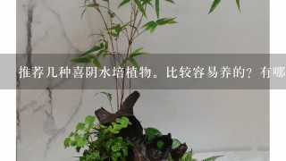 推荐几种喜阴水培植物。比较容易养的？有哪些？