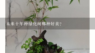 未来十年种绿化树哪种好卖？