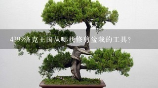 4399洛克王国从哪找修剪盆栽的工具？