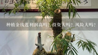 种植金线莲利润高吗？投资大吗？风险大吗？