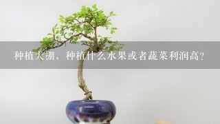 种植大棚，种植什么水果或者蔬菜利润高？