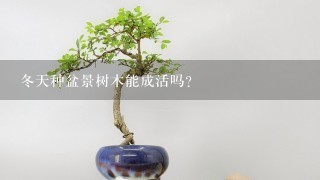 冬天种盆景树木能成活吗？