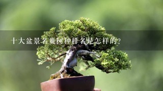 十大盆景名贵树种排名是怎样的？