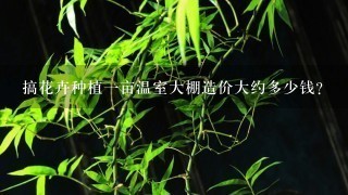 搞花卉种植1亩温室大棚造价大约多少钱？