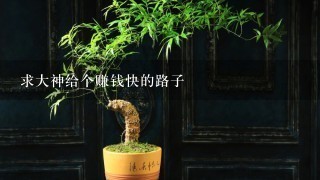 求大神给个赚钱快的路子