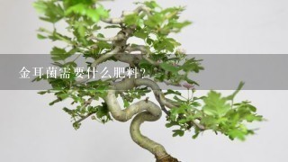 金耳菌需要什么肥料？