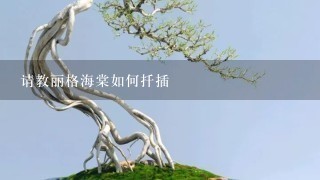 请教丽格海棠如何扦插