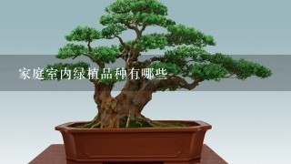 家庭室内绿植品种有哪些