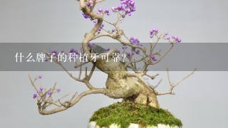 什么牌子的种植牙可靠？