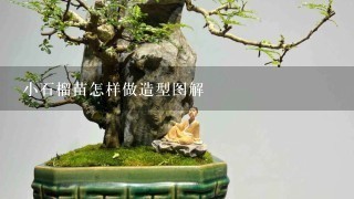 小石榴苗怎样做造型图解