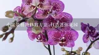 小盆景植物修剪方法;打造迷你花园