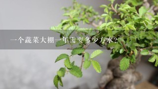 1个蔬菜大棚1年需要多少方水？