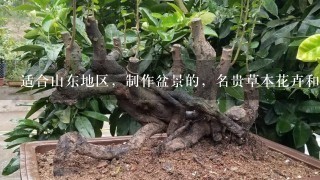 适合山东地区，制作盆景的，名贵草本花卉和木本树木有哪些？ 普通常见的花卉树木忽略。