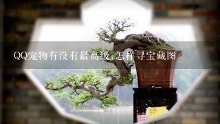 QQ宠物有没有最高级,怎样寻宝藏图