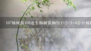 107杨树苗108速生杨树苗胸径1-2-3-4公分杨树苗多少钱1棵？