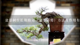 盆景树生长期修剪（夏季修剪）方法及作用有哪些