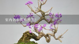 室内名贵花卉排名？