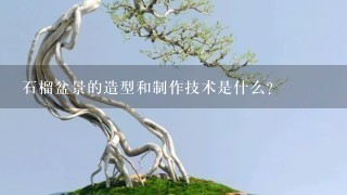 石榴盆景的造型和制作技术是什么？