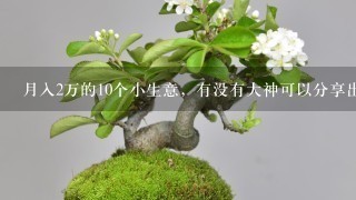 月入2万的10个小生意，有没有大神可以分享出来？