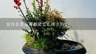 室内名贵花卉都是怎么排名的？