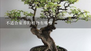 不适合家养的植物有哪些