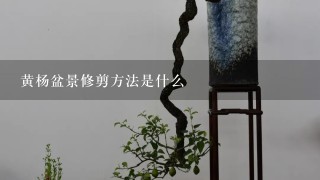 黄杨盆景修剪方法是什么