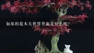 如皋的花木大世界里面是什么呢？