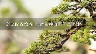 怎么配置培养土,盆景种植用什么土好？