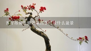 客厅吊顶装修效果图客厅放什么盆景