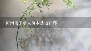 河南南阳最大苗木基地在哪