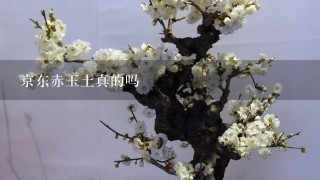 京东赤玉土真的吗