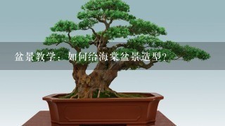 盆景教学：如何给海棠盆景造型？