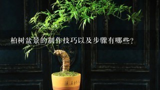 柏树盆景的制作技巧以及步骤有哪些？