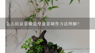 怎么给盆景做造型盆景制作方法图解？