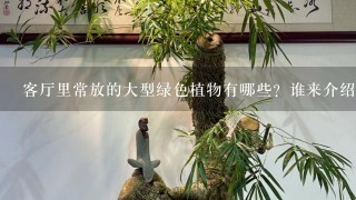 客厅里常放的大型绿色植物有哪些？谁来介绍下？