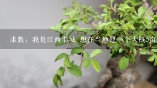 求教：我是江西丰城 想在当地建1个大概5亩的简单的大棚蔬菜种植地 建大棚大概需要多少钱1亩（最经济型的