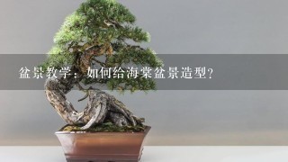 盆景教学：如何给海棠盆景造型？