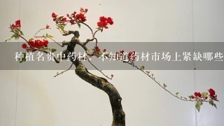 种植名贵中药材，不知道药材市场上紧缺哪些药材？