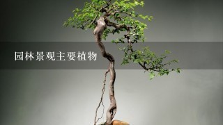 园林景观主要植物