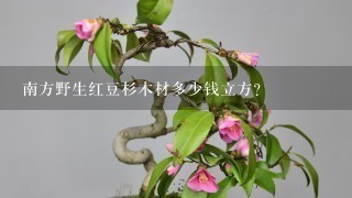 南方野生红豆杉木材多少钱立方？