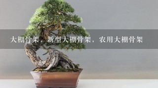 大棚骨架，新型大棚骨架，农用大棚骨架